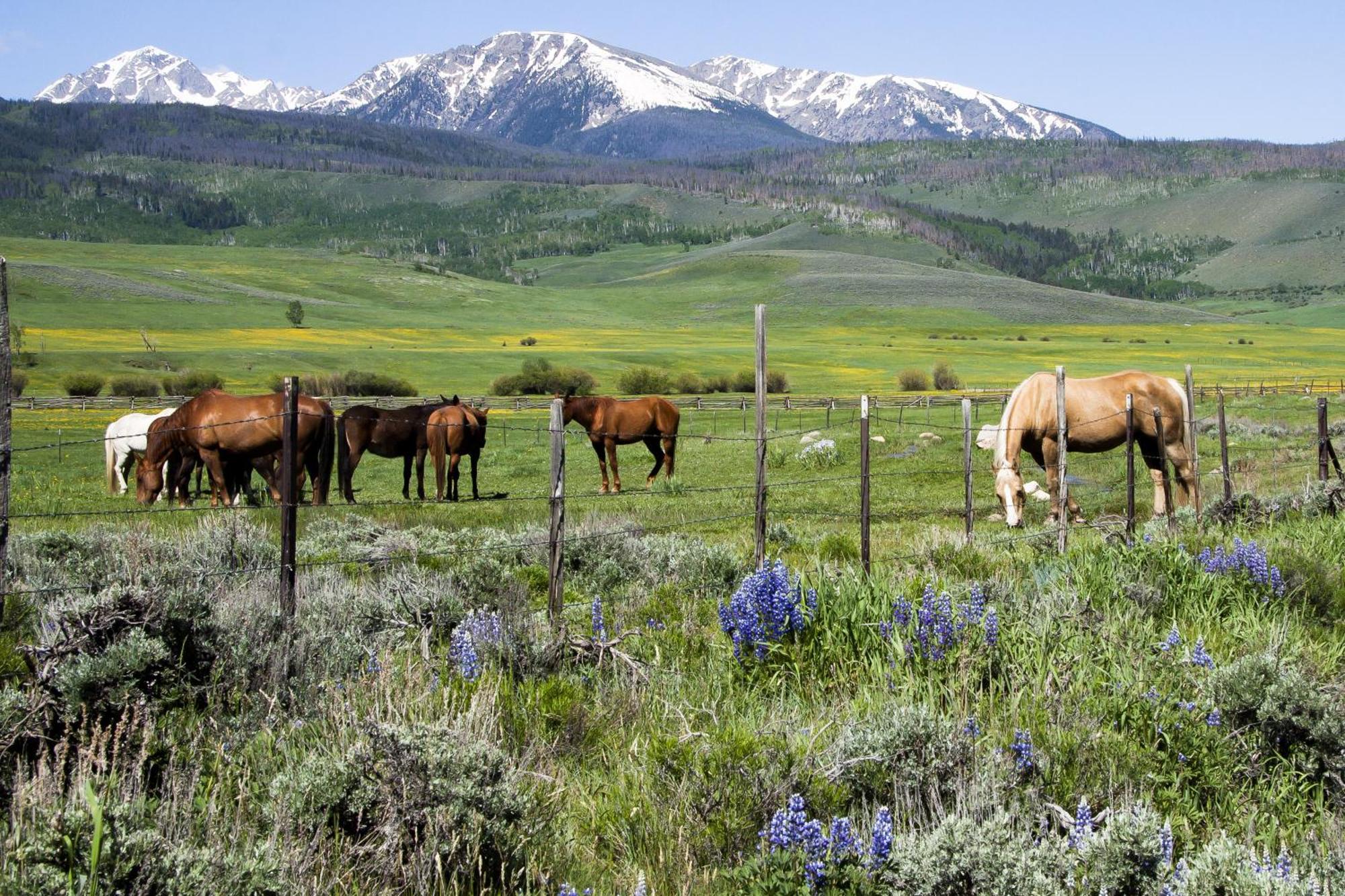 Riverfront Retreat & River'S Edge Townhome Silverthorne Δωμάτιο φωτογραφία